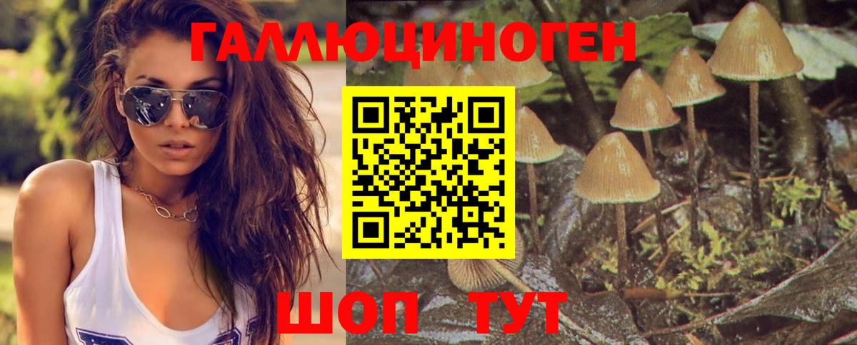 Галлюциногенные грибы мицелий  Псилоцибиновые грибы Cubensis  Вход с VPN  Солнечногорск 
