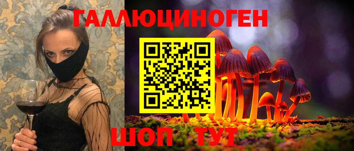 Псилоцибиновые грибы Psilocybe Солнечногорск